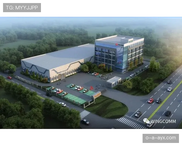 布鲁诺技术驱动行业变革，创新方案引领未来发展趋势