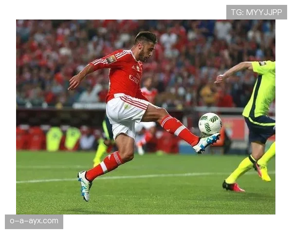 本菲卡防线表现稳健，成为新赛季争冠关键的关键因素。