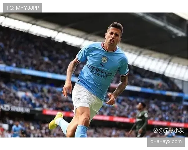 若昂·坎塞洛：从曼城核心到外租拜仁的生涯转折解析