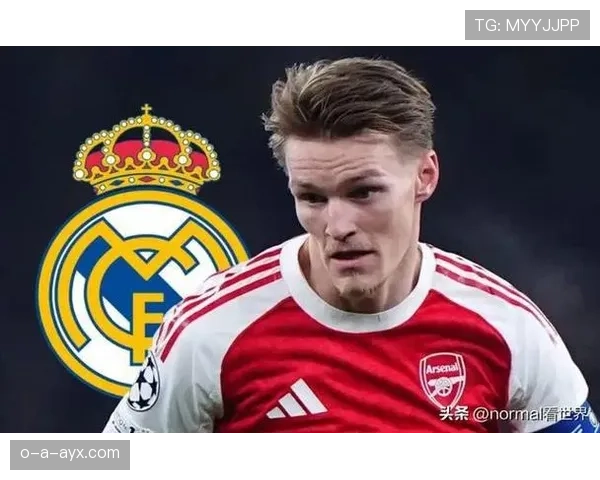 个人表现与团队成绩:厄德高的生涯评估 个人表现与团队成绩:厄德高的生涯评估